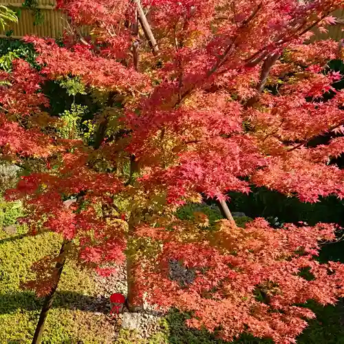 寿量山　速成寺の自然