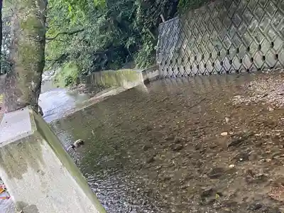 綿都美神社の周辺