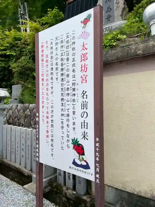 阿賀神社の{uncategorized: "未分類", other: "その他", undefined: "問題あり", building: "その他建物", grave: "お墓", sacred_gate: "鳥居", guardian: "狛犬", statue: "像", buddha: "仏像", history: "歴史", nature: "自然", garden: "庭園", animal: "動物", pagoda: "塔", temizu: "手水舎", mountain_gate: "山門・神門", sanctuary: "本殿・本堂", subordinate: "末社・摂社", art: "芸術", scenery: "景色", jizo: "地蔵", ema: "絵馬", goshuin: "御朱印", omikuji: "おみくじ", items: "授与品その他", amulet: "お守り", goshuincho: "御朱印帳", eats: "食事", festival: "お祭り", votive_dance: "神楽", shichigosan: "七五三参", wedding: "結婚式", experience: "体験その他", initially: "初詣", around: "周辺", anti_infection: "感染症対策"}