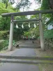 唐澤山神社の鳥居