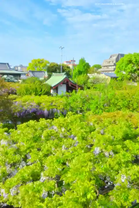 亀戸天神社(東京都)