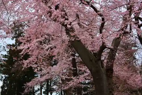 神炊館神社 ⁂奥州須賀川総鎮守⁂の自然