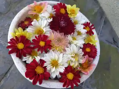 立志神社(滋賀県)