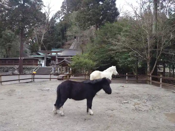 丹生川上神社(下社)(奈良県)