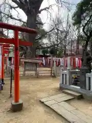 鬼子母神堂　(法明寺）(東京都)