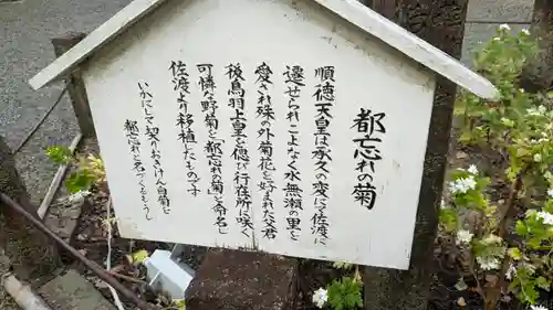 水無瀬神宮(大阪府)