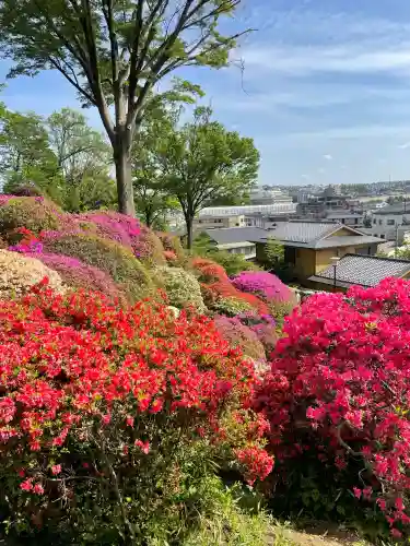 等覚院(神奈川県)