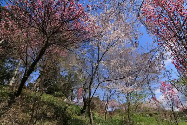 阿久津「田村神社」(郡山市阿久津町)旧社名:伊豆箱根三嶋三社の庭園