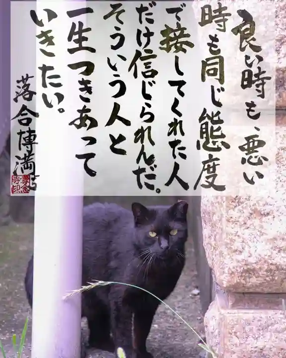 専念寺(大阪府)