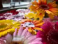 滑川神社 - 仕事と子どもの守り神の手水舎