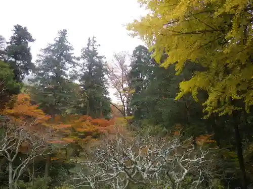 東慶寺の景色