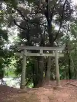 天満宮(千葉県)