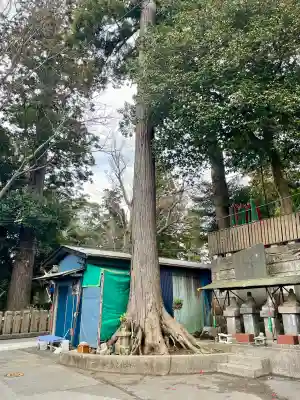 咤枳尼天堂 （出世稲荷）の{uncategorized: "未分類", other: "その他", undefined: "問題あり", building: "その他建物", grave: "お墓", sacred_gate: "鳥居", guardian: "狛犬", statue: "像", buddha: "仏像", history: "歴史", nature: "自然", garden: "庭園", animal: "動物", pagoda: "塔", temizu: "手水舎", mountain_gate: "山門・神門", sanctuary: "本殿・本堂", subordinate: "末社・摂社", art: "芸術", scenery: "景色", jizo: "地蔵", ema: "絵馬", goshuin: "御朱印", omikuji: "おみくじ", items: "授与品その他", amulet: "お守り", goshuincho: "御朱印帳", eats: "食事", festival: "お祭り", votive_dance: "神楽", shichigosan: "七五三参", wedding: "結婚式", experience: "体験その他", initially: "初詣", around: "周辺", anti_infection: "感染症対策"}