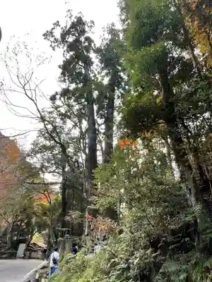 貴船神社奥宮のその他建物