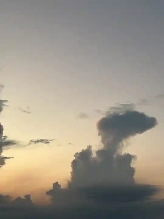 雀神社(茨城県)