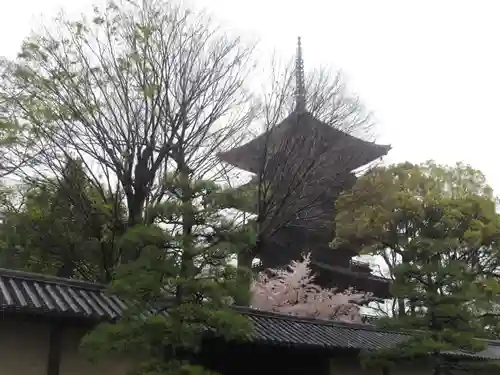 東寺（教王護国寺）の塔