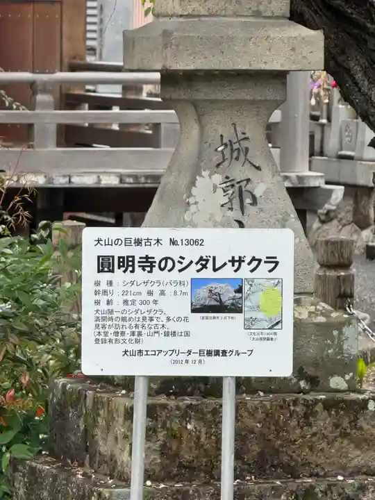 円明寺(愛知県)