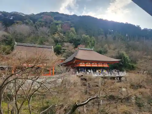 清水寺の{uncategorized: "未分類", other: "その他", undefined: "問題あり", building: "その他建物", grave: "お墓", sacred_gate: "鳥居", guardian: "狛犬", statue: "像", buddha: "仏像", history: "歴史", nature: "自然", garden: "庭園", animal: "動物", pagoda: "塔", temizu: "手水舎", mountain_gate: "山門・神門", sanctuary: "本殿・本堂", subordinate: "末社・摂社", art: "芸術", scenery: "景色", jizo: "地蔵", ema: "絵馬", goshuin: "御朱印", omikuji: "おみくじ", items: "授与品その他", amulet: "お守り", goshuincho: "御朱印帳", eats: "食事", festival: "お祭り", votive_dance: "神楽", shichigosan: "七五三参", wedding: "結婚式", experience: "体験その他", initially: "初詣", around: "周辺", anti_infection: "感染症対策"}