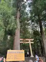 飛瀧神社(那智御瀧)(和歌山県)