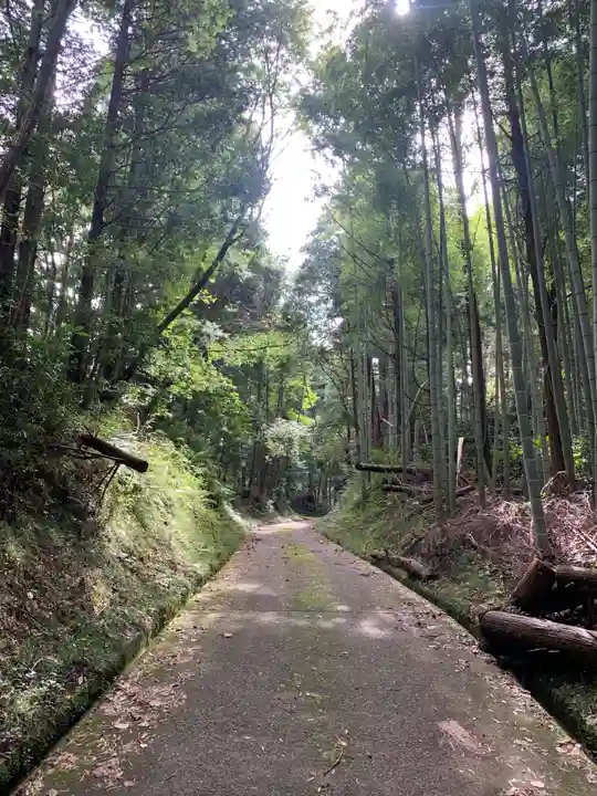 八幡神社の周辺