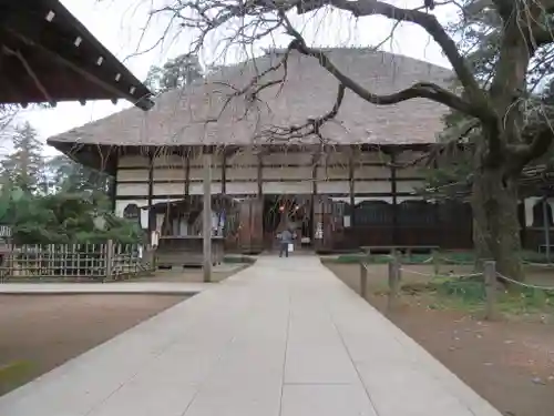 茂林寺の本殿・本堂