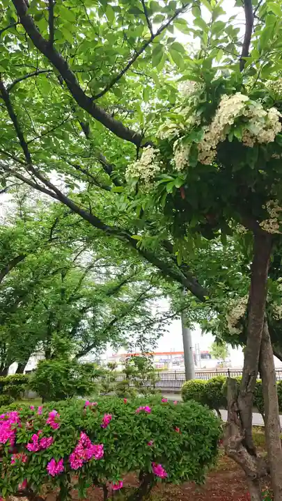 神明社(国府宮神明社)の自然