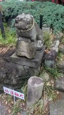 飯福神社の{uncategorized: "未分類", other: "その他", undefined: "問題あり", building: "その他建物", grave: "お墓", sacred_gate: "鳥居", guardian: "狛犬", statue: "像", buddha: "仏像", history: "歴史", nature: "自然", garden: "庭園", animal: "動物", pagoda: "塔", temizu: "手水舎", mountain_gate: "山門・神門", sanctuary: "本殿・本堂", subordinate: "末社・摂社", art: "芸術", scenery: "景色", jizo: "地蔵", ema: "絵馬", goshuin: "御朱印", omikuji: "おみくじ", items: "授与品その他", amulet: "お守り", goshuincho: "御朱印帳", eats: "食事", festival: "お祭り", votive_dance: "神楽", shichigosan: "七五三参", wedding: "結婚式", experience: "体験その他", initially: "初詣", around: "周辺", anti_infection: "感染症対策"}