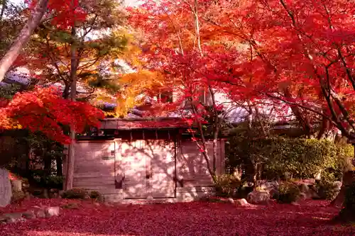 大原野神社(京都府)
