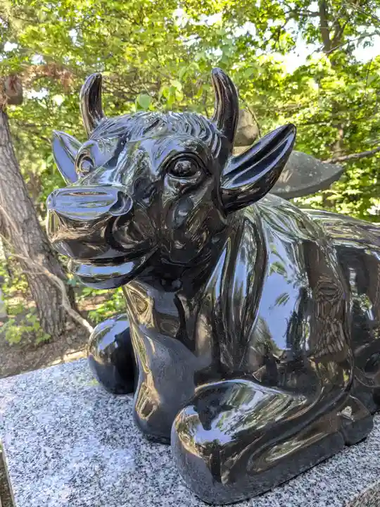手稲神社(北海道)