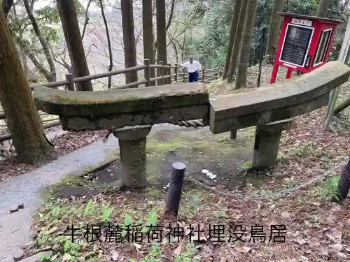 牛根麓稲荷神社(鹿児島県)