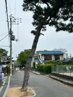 柴籬神社(大阪府)