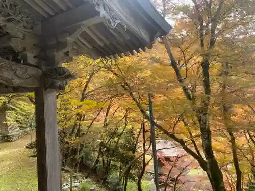 金剛院(京都府)