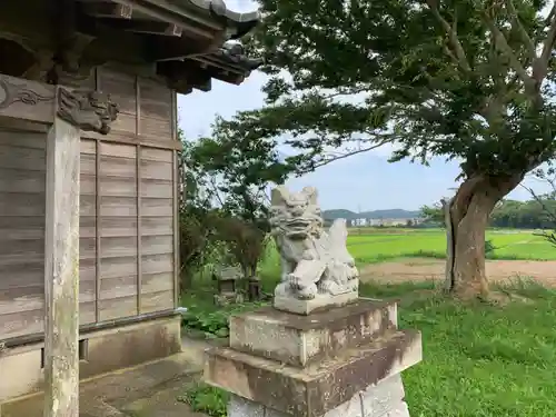 本織神社の狛犬