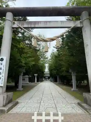 帯廣神社の鳥居