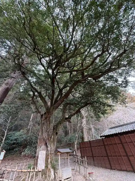 小國神社(静岡県)