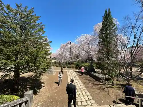 安養寺の{uncategorized: "未分類", other: "その他", undefined: "問題あり", building: "その他建物", grave: "お墓", sacred_gate: "鳥居", guardian: "狛犬", statue: "像", buddha: "仏像", history: "歴史", nature: "自然", garden: "庭園", animal: "動物", pagoda: "塔", temizu: "手水舎", mountain_gate: "山門・神門", sanctuary: "本殿・本堂", subordinate: "末社・摂社", art: "芸術", scenery: "景色", jizo: "地蔵", ema: "絵馬", goshuin: "御朱印", omikuji: "おみくじ", items: "授与品その他", amulet: "お守り", goshuincho: "御朱印帳", eats: "食事", festival: "お祭り", votive_dance: "神楽", shichigosan: "七五三参", wedding: "結婚式", experience: "体験その他", initially: "初詣", around: "周辺", anti_infection: "感染症対策"}