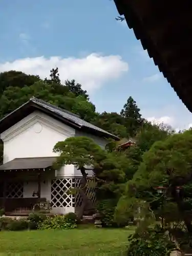 能仁寺の庭園