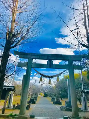 金村別雷神社の鳥居