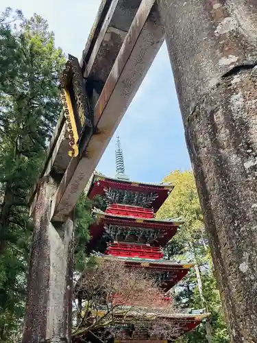 日光東照宮(栃木県)