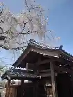 妙福寺(神奈川県)