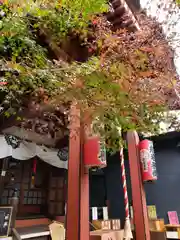 陽運寺の本殿