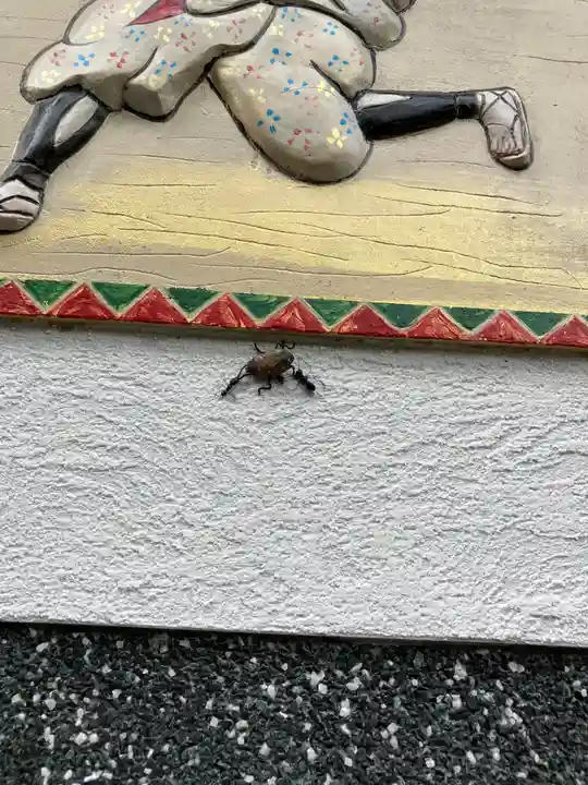 福巌寺(一願寺)(和歌山県)