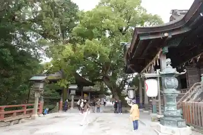 金刀比羅宮のその他建物