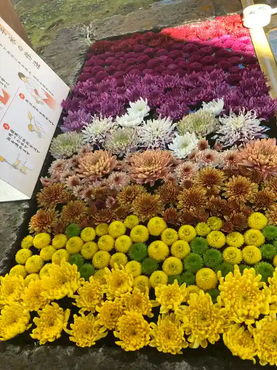 土津神社|こどもと出世の神さま(福島県)