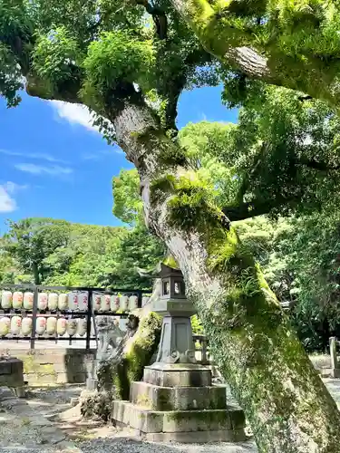 三柱神社(福岡県)