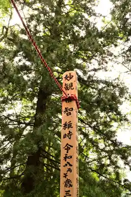 真福寺(埼玉県)