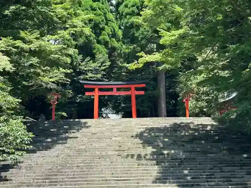 霧島神宮(鹿児島県)