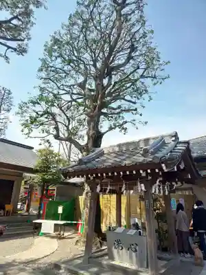 蛇窪神社の手水舎