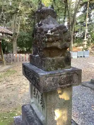 熊野社（塔野地東屋敷）の狛犬