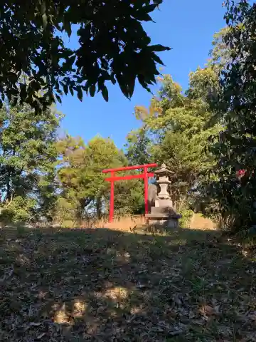 玉前神社の鳥居